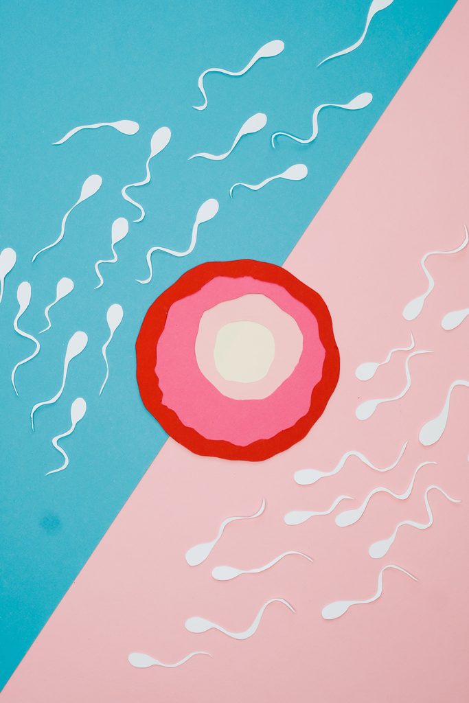 Impacto psicológico de la Fecundación In vitro 